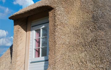 Lady Wood thatch roof disadvantages
